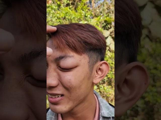 Thanh niên đi bắt ong rừng và cái kết sấp mặt