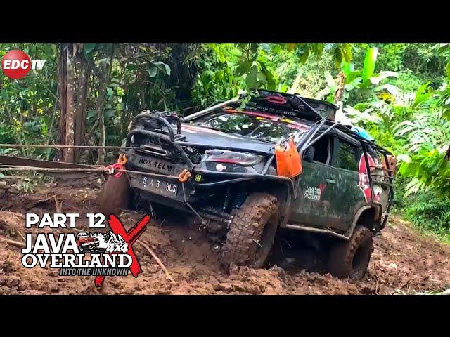 PART 12 JAVA OVERLAND EXTREME 2024 - INTO THE UNKNOWN | EDC TV