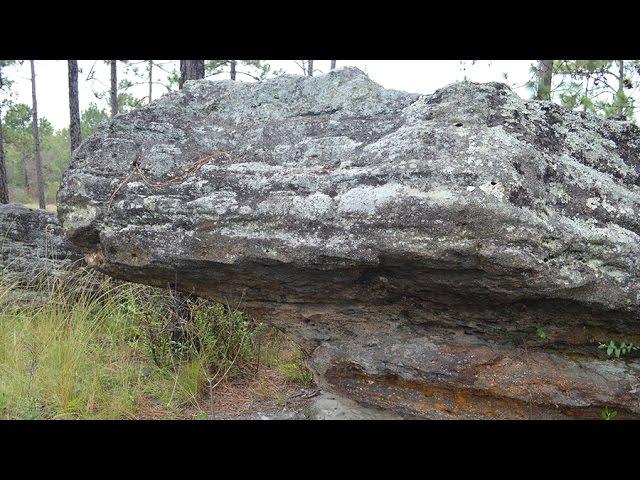 Rock Hill Preserve near Chipley, Florida