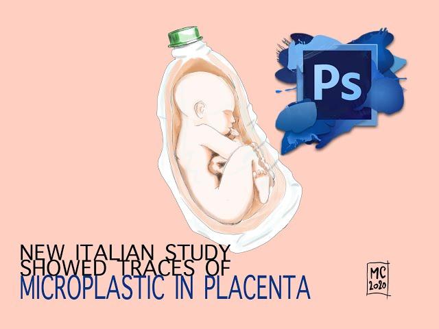 Microplastics in the Human Placenta found in a study in Rome Ep.7