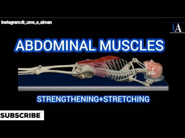 Abdominal Muscles | Strengthening & Stretching | @DrUmeAiman