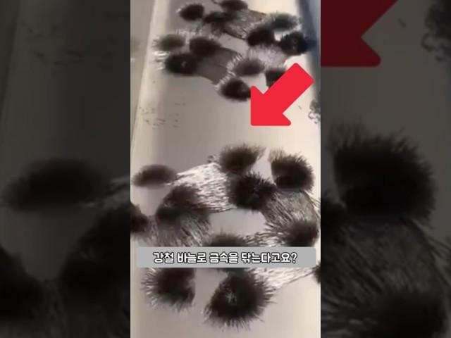 금속은 어떻게 세척할까요?