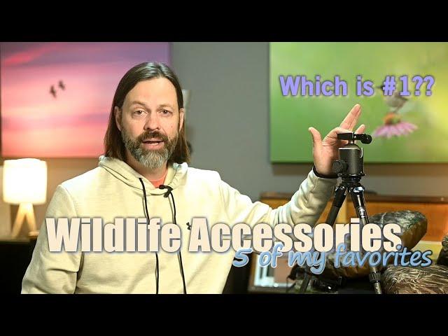 Wildlife Photography Accessories, 5 of my Favorites