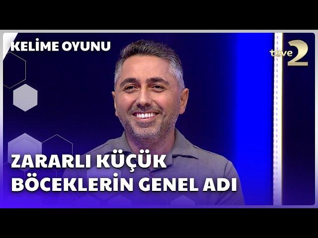 Zararlı Küçük Böceklerin Genel Adı | Kelime Oyunu