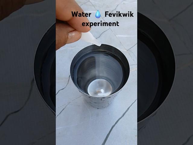 warm water  Fevikwik experiment #shortsfeed #shorts #youtubeshorts #ytshorts #