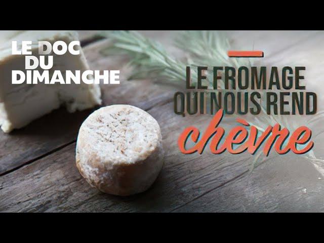 Le doc du dimanche: Le fromage qui nous rend chèvre