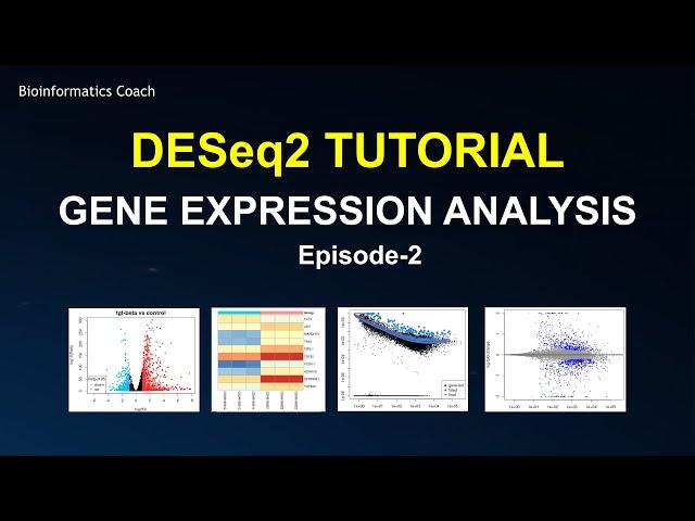 DESeq2 workflow tutorial | Differential Gene Expression Analysis | RNA Seq