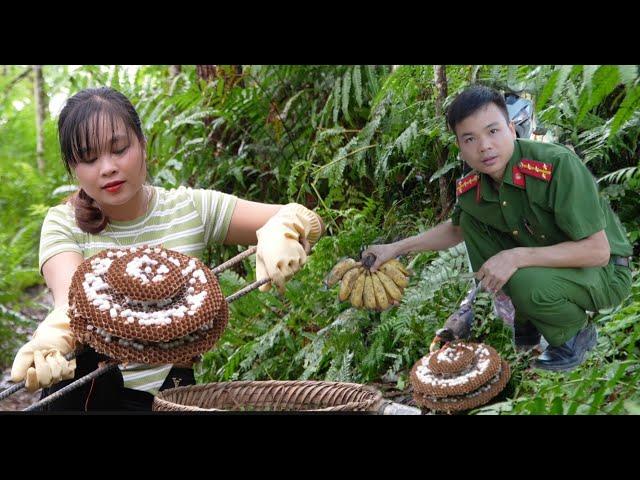 Full video of implementing the idea of ​​raising wasps and releasing fingerlings into a new pond