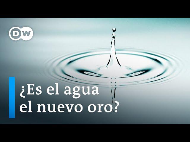 La lucha por el agua | DW Documental