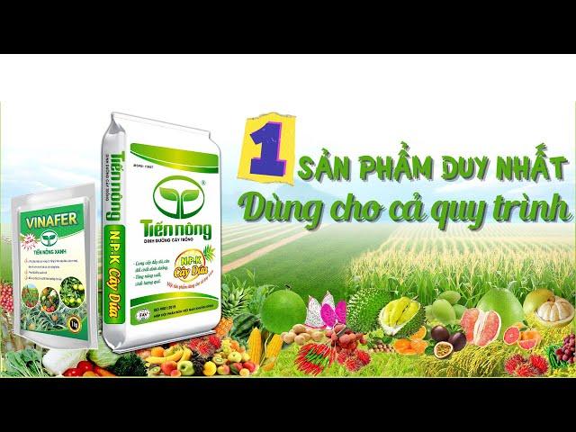 NPK Cây Dứa Tiến Nông - 1 Sản phẩm duy nhất dùng cho cả quy trình