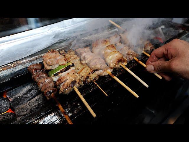 master of making various chicken skewers / 닭 11가지 부위로 만드는 닭꼬치 달인 / korean street food