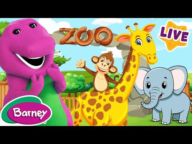 Zoo Adventures with Barney | Full Episodes Live | Barney the Dinosaur