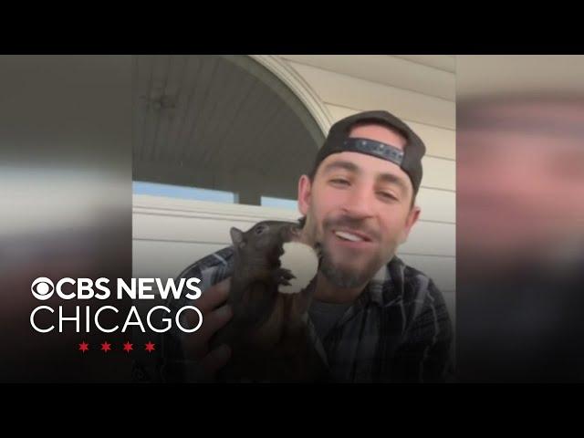 Man demands answers after pet squirrel is euthanized by authorities