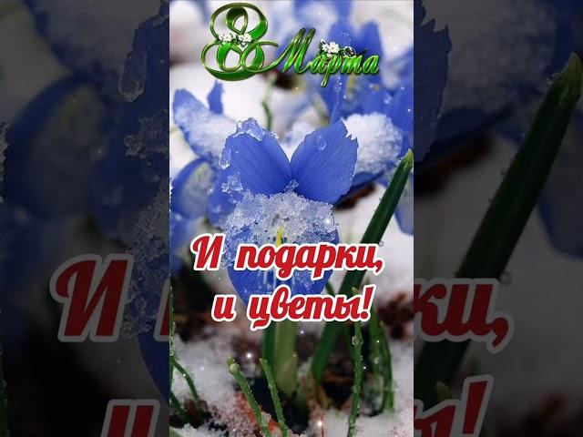 С 8 марта. Красивое поздравление с 8 марта.