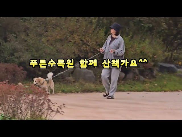 항동푸른수목원 #함께 산책해요 #항동철길 #항동저수지 #하루위로 #유미유미tv