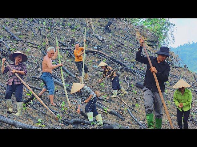 Wishing for a bountiful harvest: how we grow rice on steep hills