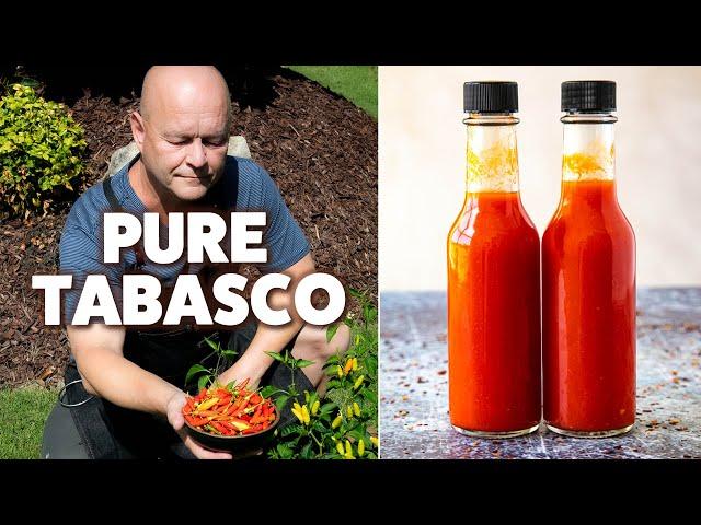 Homemade Tabasco Sauce