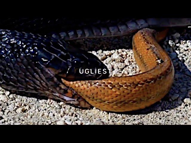 $UICIDEBOY$ - Ugliest (Lyric Video)