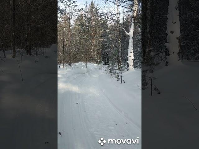бурлак Азимут!!