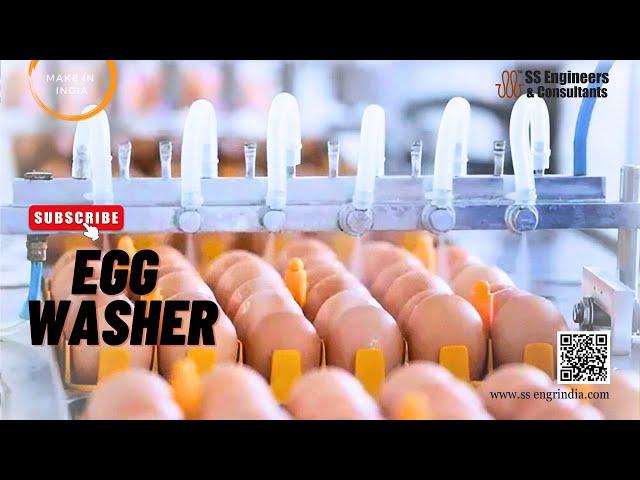 High-Efficiency Egg Washing Line | SS Engineers #egg #eggswasher #eggcleaningline