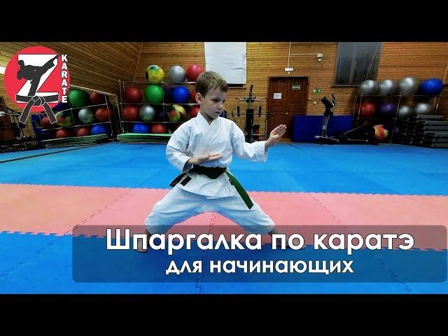 Шпаргалка по каратэ для начинающих