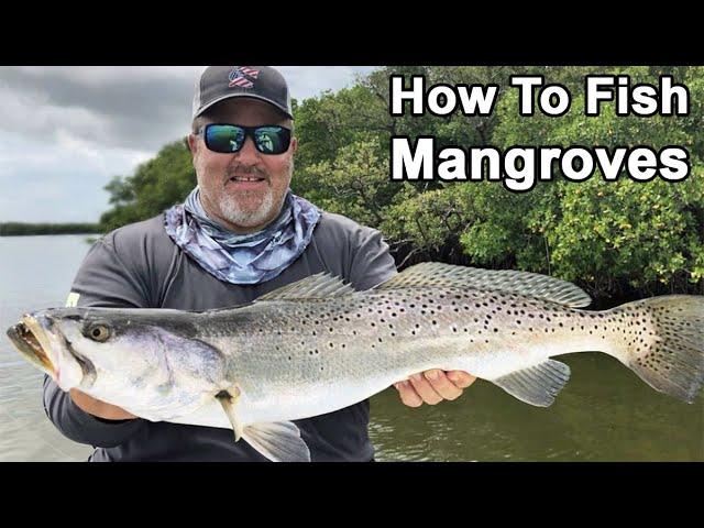 Fishing In Mangroves: How To Catch More Redfish, Snook & Trout