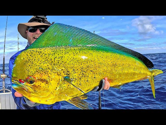 Mahi Madness! The ocean was ALIVE with fish!! (Catch & clean)