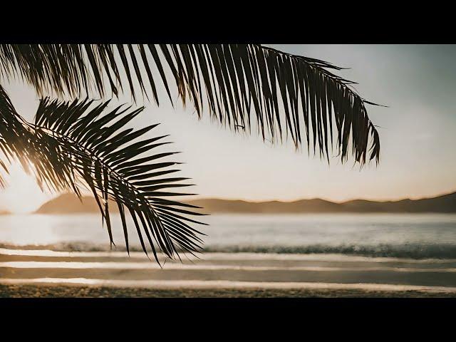 tropical beach scene free stock footage. Palm leaves. Sun kissed sky. ai art. lens flare