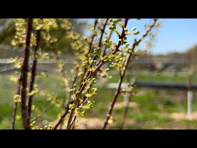 Living Earth Center Community Farm continues to grow