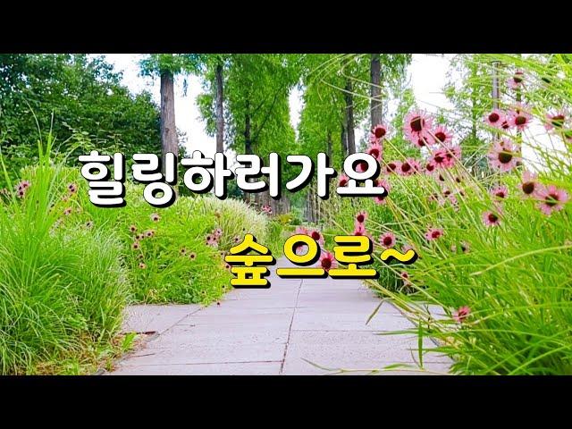 [숲으로가요]#숲의향기 맡으러 산책하러 가요Forest Scent