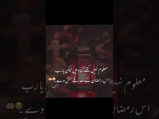#ajf9 #ajf9 #goodvibes #goodvibes #best #best #beautiful #Ajf9 video 1