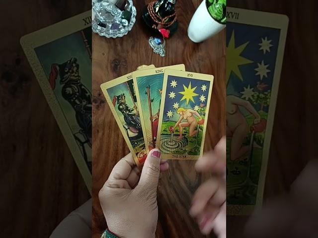 Hindi tarot card reading today @jyotithelightinsidetarot24 #tarot #tarotcardreading