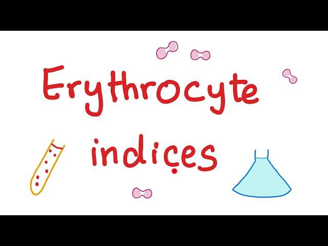 Erythrocyte indices — Hemoglobin, Hematocrit, MCV, MCH & MCHC — What Do These Lab Tests Mean?