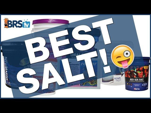 Which salt mix is best for my saltwater aquarium or reef tank? | BRStv