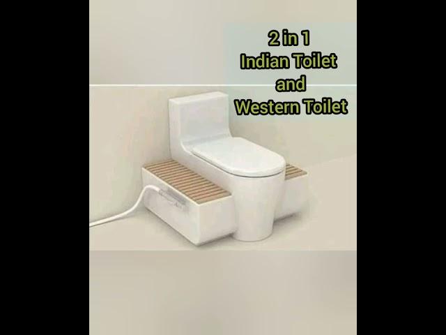 2 in 1 Toilet