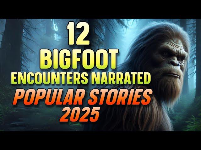 12 BIGFOOT ENCOUNTERS NARRATED POPULAR STORIES 2025
