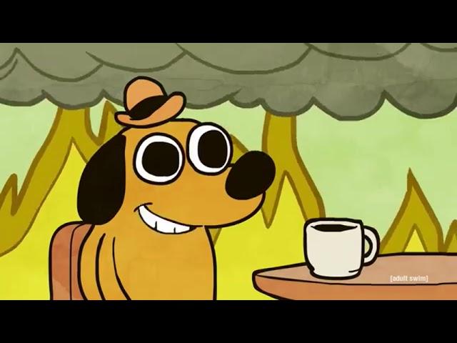 This is fine! Dog meme