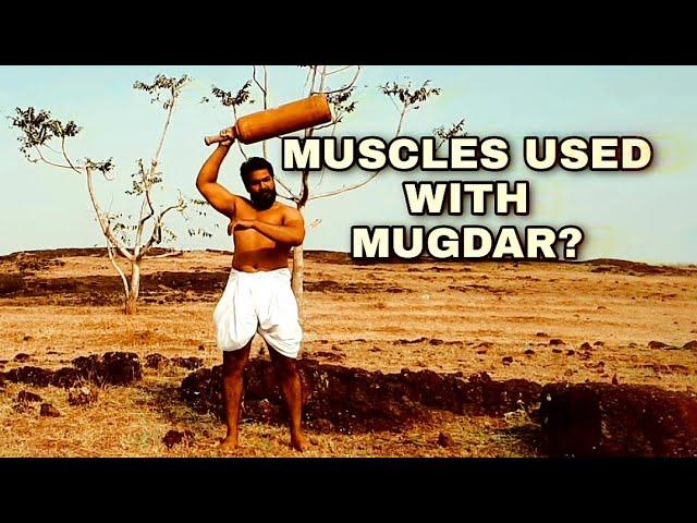 Which Muscles Are Used While Doing Indian Clubs? मुगदर फेरने से कोणसे स्नायू सशक्त होते है?