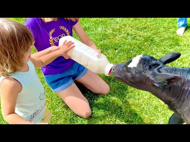 He Fed the Baby COW?!?!