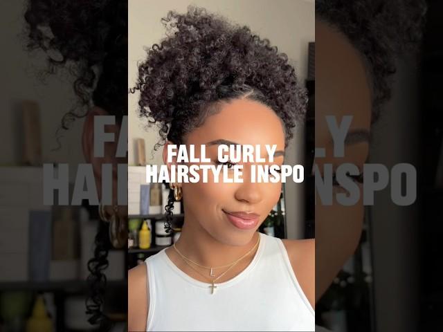 Fall 3c Curly Hair Hairstyle Tutorial #curlyhair #curlyhairstyles #natural #curlystyles #hairstyles