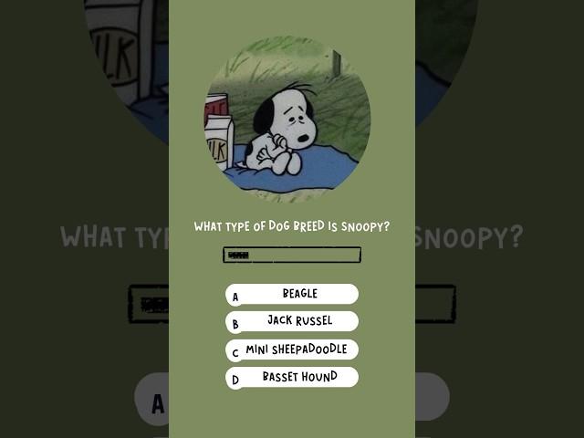 How well do you know Snoopy? #shorts #snoopy #quiz #beagle