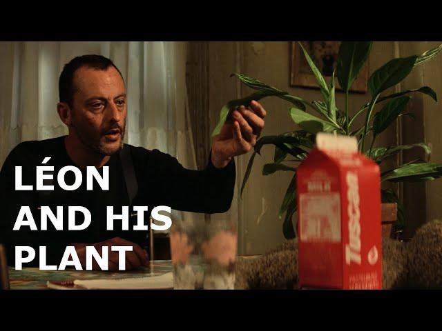 Leon and his plant (all scenes) - Léon: The Professional (1994)