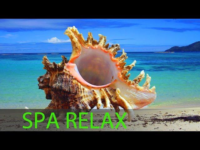 6 Hour Relaxing Spa Music, Calming Music, Background Music, Sleep Music, Spa, Massage Music, 357