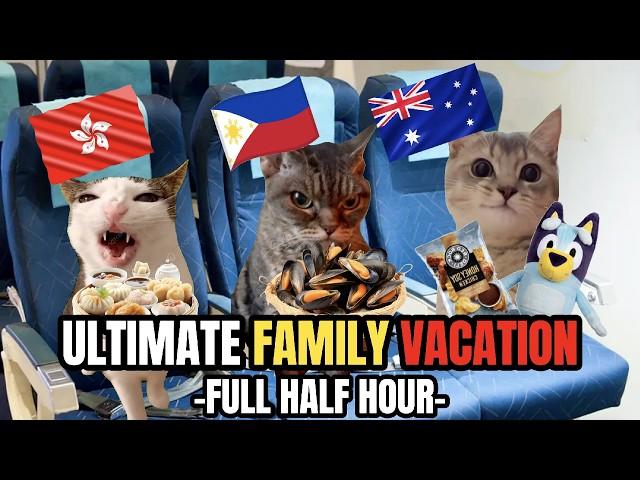 CAT MEMES: A FAMILY VACATION HALF HOUR COMPILATION