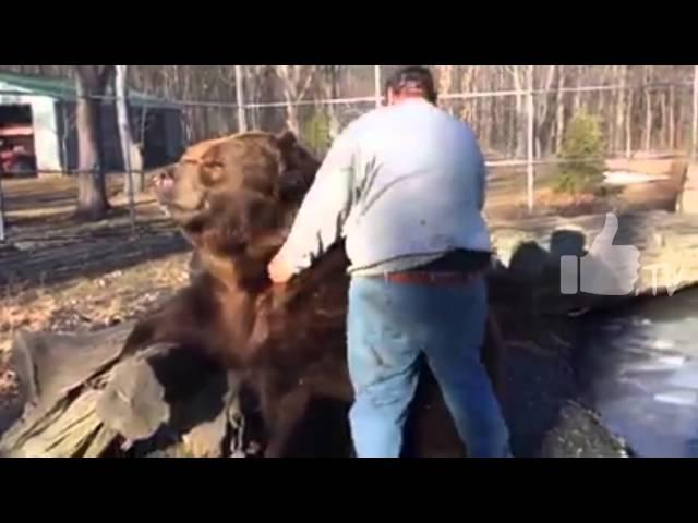 Oso gigante ataca al dueño |  giant bear attacked the owner | ViraLike 2016