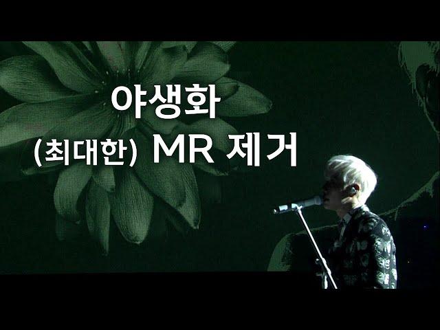 [박효신] 야생화 라이브 (최대한) MR 제거 Park Hyo Shin Live (Isolated Vocal Track)