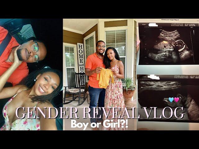 Gender Reveal Ultrasound Vlog! | Boy or Girl?