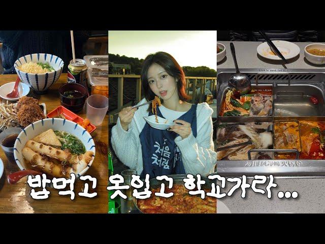 ootd vlog.. 근데 밥을 좀 많이 먹는....