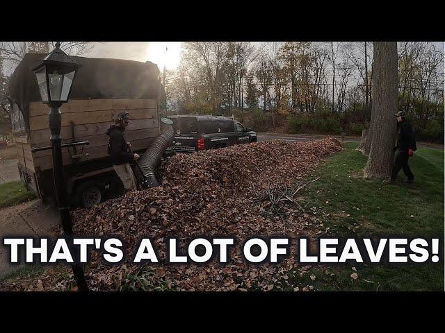 4 Man Crew Handling Massive Leaf Piles with Ease!