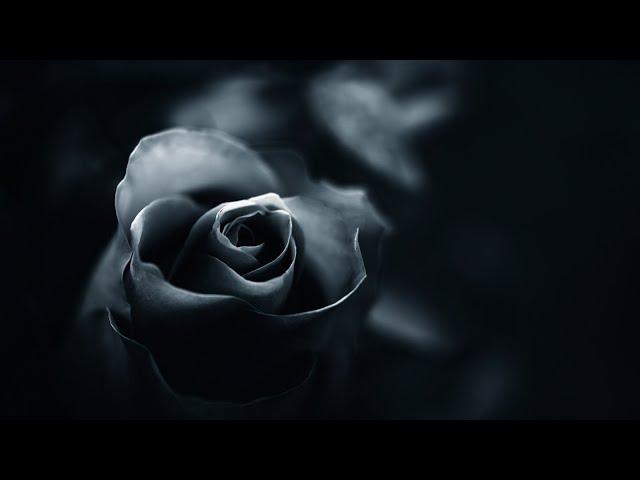 Relaxing Dark Romantic Music – Black Rose 290 | Spooky, Gothic